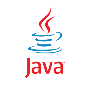 TechnoVista works with Java