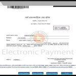NBR-Sonali Bank e-Payment Portal : developed by TechnoVista Limited - Screenshot